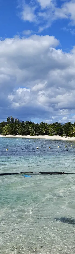 Lagunen, Riffe und tropisches Afrika